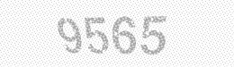 Visual security code — type the characters shown in the image